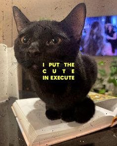 Innehåller en bild av: 